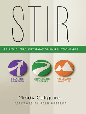 cover image of STIR